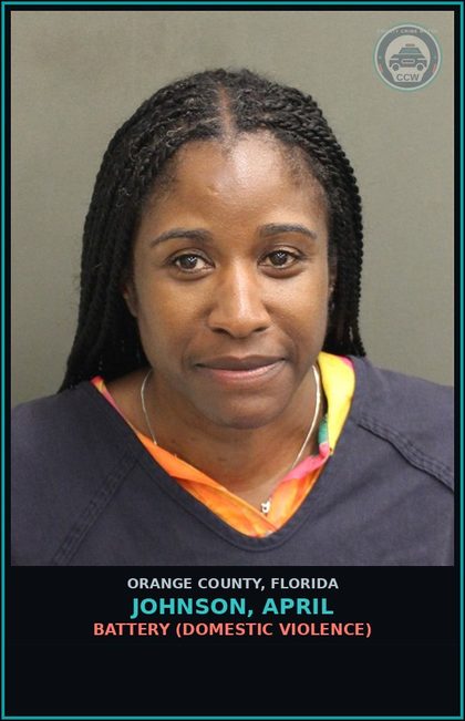 CCW arrest card for JOHNSON, APRIL in Orange County: BATTERY (DOMESTIC VIOLENCE)