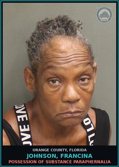 CCW arrest card for JOHNSON, FRANCINA in Orange County: ALCOHOLIC BEVERAGES, OPEN CONTAINERS