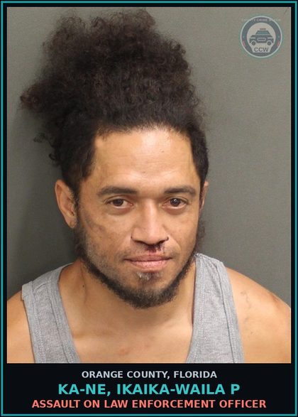CCW arrest card for KA-NE, IKAIKA-WAILA P in Orange County: RESISTING OFFICER WITH VIOLENCE