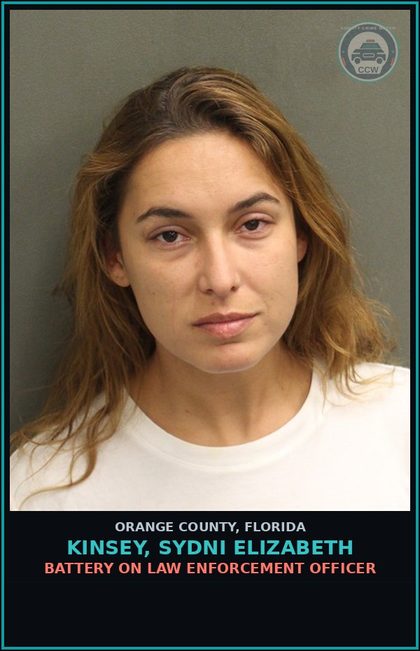 CCW arrest card for KINSEY, SYDNI ELIZABETH in Orange County: DUI PROPERTY DAMAGE OR PERSONAL INJURY