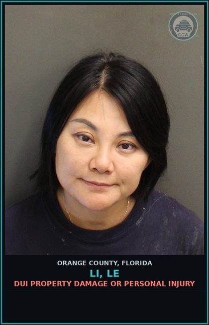 CCW arrest card for LI, LE in Orange County: DUI PROPERTY DAMAGE OR PERSONAL INJURY