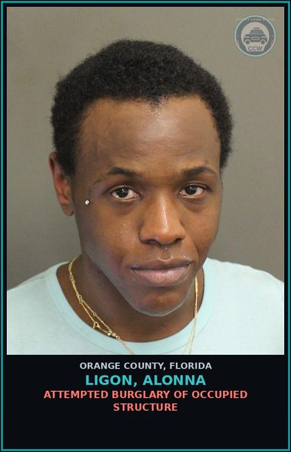 CCW arrest card for LIGON, ALONNA in Orange County: PETIT THEFT OF $100 OR MORE