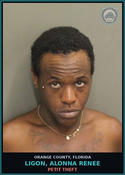 CCW arrest card for LIGON, ALONNA RENEE in Orange County: PETIT THEFT