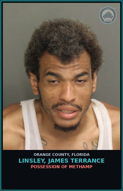 CCW arrest card for LINSLEY, JAMES TERRANCE in Orange County: POSSESSION OF Methamp