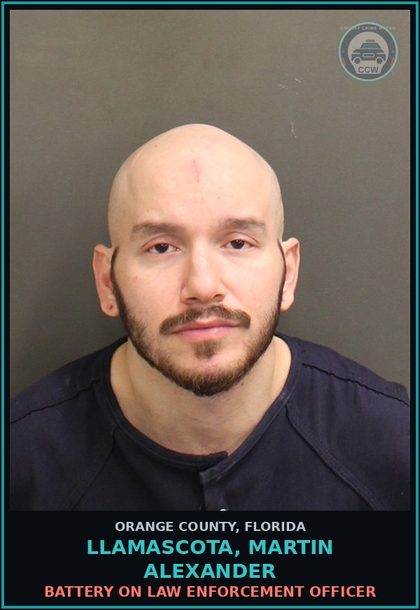 CCW arrest card for LLAMASCOTA, MARTIN ALEXANDER in Orange County: BATTERY ON LAW ENFORCEMENT OFFICER