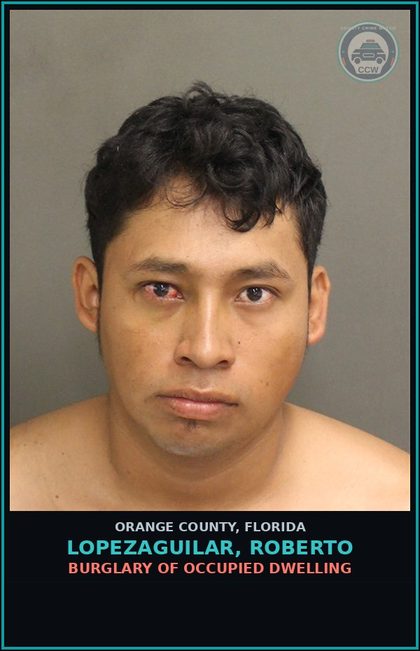 CCW arrest card for LOPEZAGUILAR, ROBERTO in Orange County: RESISTING OFFICER WITHOUT VIOLENCE