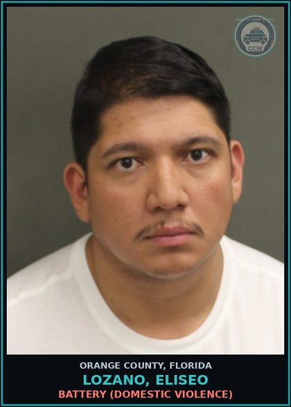 CCW arrest card for LOZANO, ELISEO in Orange County: BATTERY (DOMESTIC VIOLENCE)