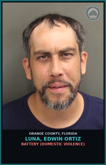 CCW arrest card for LUNA, EDWIN ORTIZ in Orange County: BATTERY (DOMESTIC VIOLENCE)