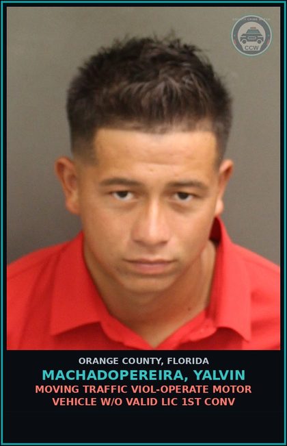 CCW arrest card for MACHADOPEREIRA, YALVIN in Orange County: MOVING TRAFFIC VIOL-OPERATE MOTOR VEHICLE W/O VALID LIC 1ST CONV