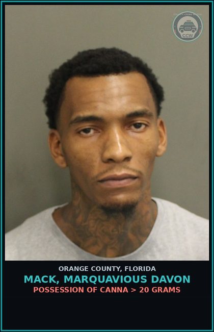 CCW arrest card for MACK, MARQUAVIOUS DAVON in Orange County: POSSESSION OF Canna > 20 GRAMS