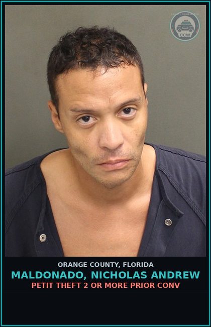 CCW arrest card for MALDONADO, NICHOLAS ANDREW in Orange County: PETIT THEFT 2 OR MORE PRIOR CONV