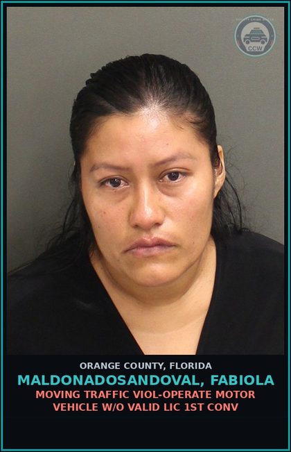 CCW arrest card for MALDONADOSANDOVAL, FABIOLA in Orange County: MOVING TRAFFIC VIOL-OPERATE MOTOR VEHICLE W/O VALID LIC 1ST CONV