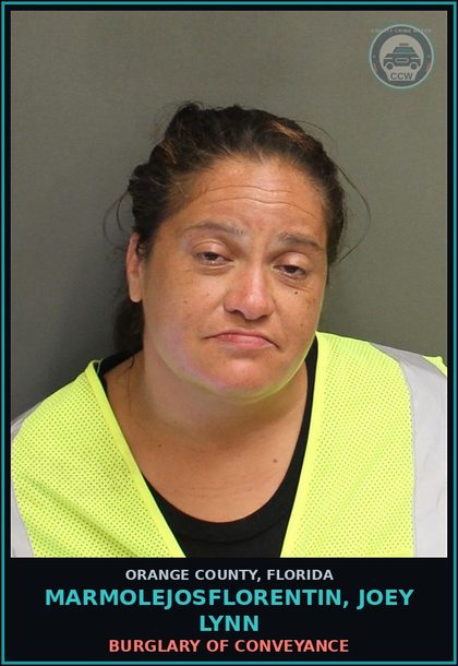 CCW arrest card for MARMOLEJOSFLORENTIN, JOEY LYNN in Orange County: PETIT THEFT