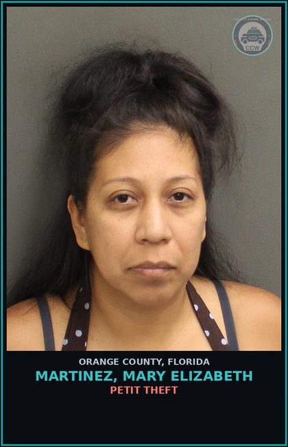 CCW arrest card for MARTINEZ, MARY ELIZABETH in Orange County: PETIT THEFT