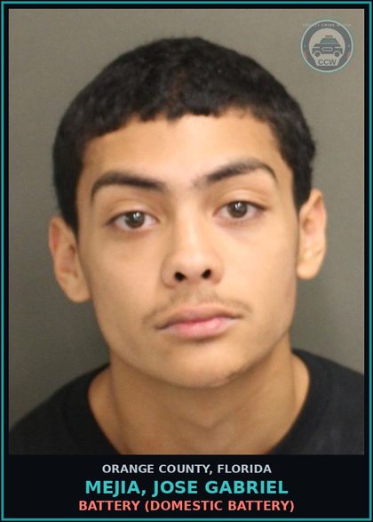 CCW arrest card for MEJIA, JOSE GABRIEL in Orange County: BATTERY (DOMESTIC BATTERY)