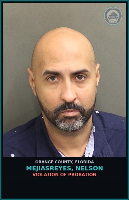 CCW arrest card for MEJIASREYES, NELSON in Orange County: VIOLATION OF PROBATION