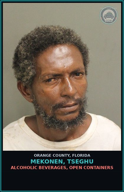 CCW arrest card for MEKONEN, TSEGHU in Orange County: ALCOHOLIC BEVERAGES, OPEN CONTAINERS