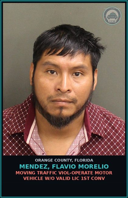 CCW arrest card for MENDEZ, FLAVIO MORELIO in Orange County, Florida: MOVING TRAFFIC VIOL-OPERATE MOTOR VEHICLE W/O VALID LIC 1ST CONV
