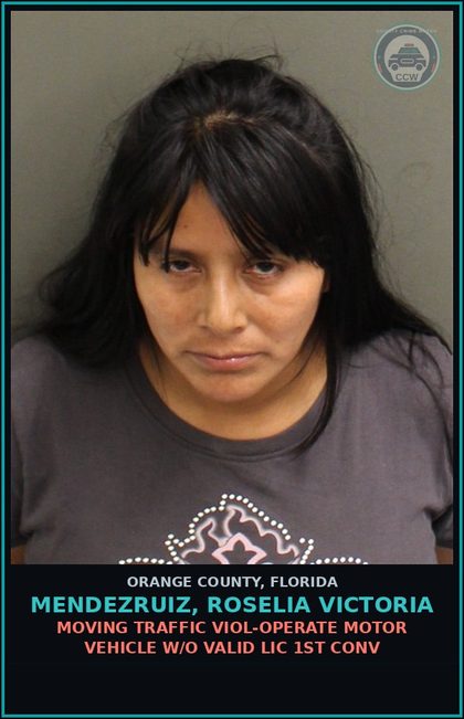 CCW arrest card for MENDEZRUIZ, ROSELIA VICTORIA in Orange County: MOVING TRAFFIC VIOL-OPERATE MOTOR VEHICLE W/O VALID LIC 1ST CONV