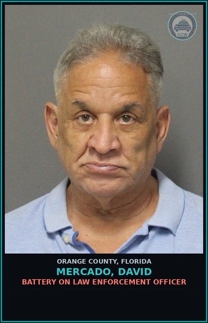 CCW arrest card for MERCADO, DAVID in Orange County: BATTERY ON LAW ENFORCEMENT OFFICER