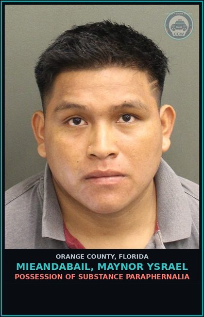 CCW arrest card for MIEANDABAIL, MAYNOR YSRAEL in Orange County: MOVING TRAFFIC VIOL-OPERATE MOTOR VEHICLE W/O VALID LIC 1ST CONV