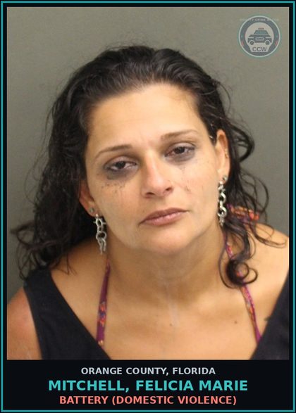 CCW arrest card for MITCHELL, FELICIA MARIE in Orange County: RESISTING OFFICER WITHOUT VIOLENCE