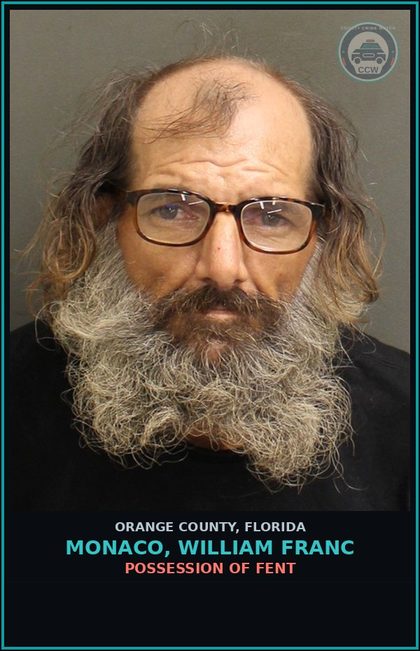 CCW arrest card for MONACO, WILLIAM FRANC in Orange County: POSS. OF AMMUNITION BY CONVICTED FELON