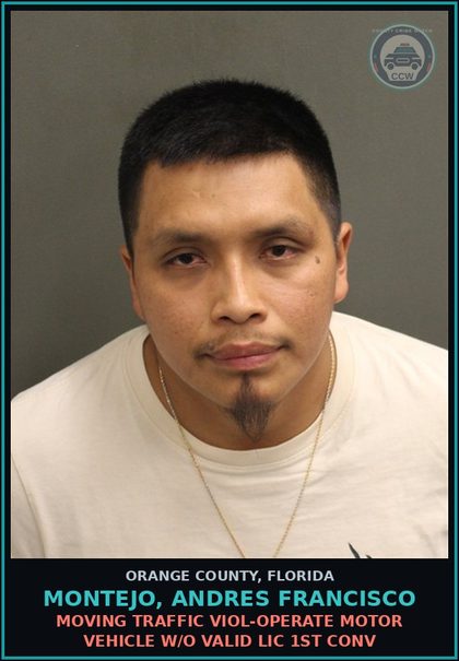 CCW arrest card for MONTEJO, ANDRES FRANCISCO in Orange County: MOVING TRAFFIC VIOL-OPERATE MOTOR VEHICLE W/O VALID LIC 1ST CONV