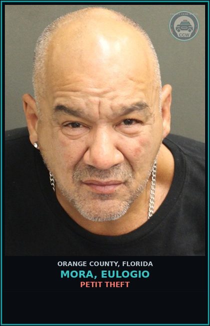CCW arrest card for MORA, EULOGIO in Orange County: PETIT THEFT