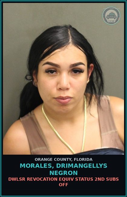 CCW arrest card for MORALES, DRIMANGELLYS NEGRON in Orange County: DWLSR REVOCATION EQUIV STATUS 2ND SUBS OFF