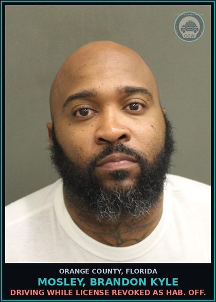 CCW arrest card for MOSLEY, BRANDON KYLE in Orange County: DRIVING WHILE LICENSE REVOKED AS HAB. OFF.