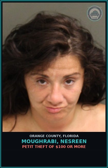CCW arrest card for MOUGHRABI, NESREEN in Orange County: PETIT THEFT OF $100 OR MORE