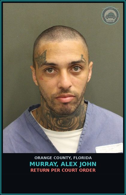 CCW arrest card for MURRAY, ALEX JOHN in Orange County: RETURN PER COURT ORDER