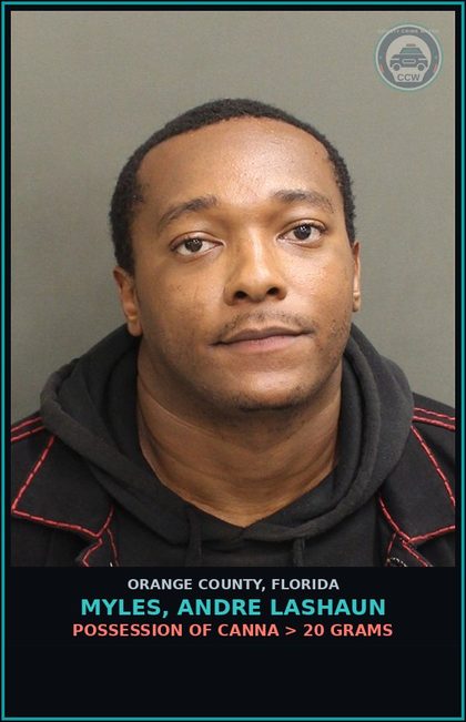 CCW arrest card for MYLES, ANDRE LASHAUN in Orange County: POSSESSION OF Canna > 20 GRAMS
