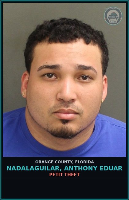 CCW arrest card for NADALAGUILAR, ANTHONY EDUAR in Orange County: DRIV WHILE LIC SUSPEND REVOCATION EQUIV STATUS