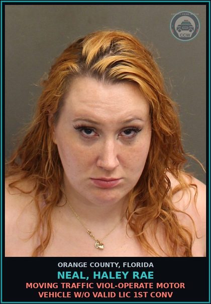CCW arrest card for NEAL, HALEY RAE in Orange County: MOVING TRAFFIC VIOL-OPERATE MOTOR VEHICLE W/O VALID LIC 1ST CONV