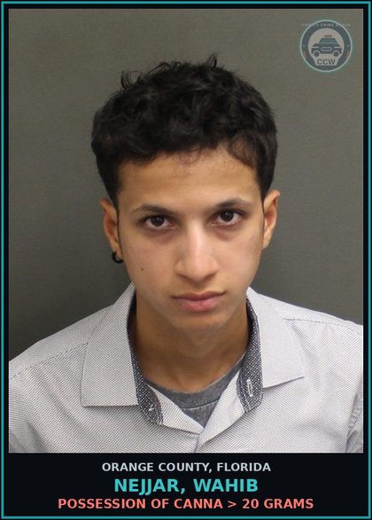 CCW arrest card for NEJJAR, WAHIB in Orange County: PETIT THEFT