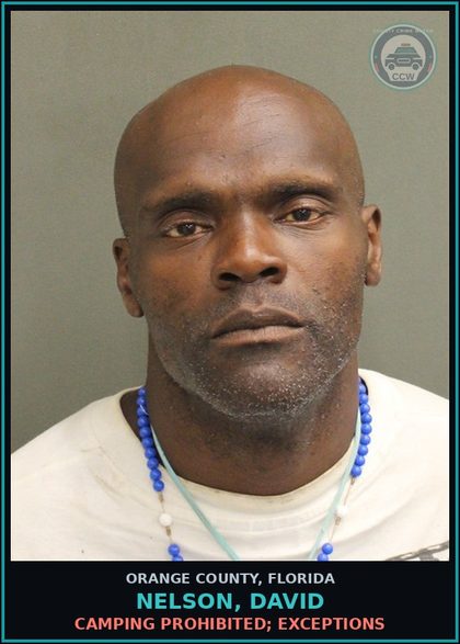 CCW arrest card for NELSON, DAVID in Orange County: CAMPING PROHIBITED; EXCEPTIONS