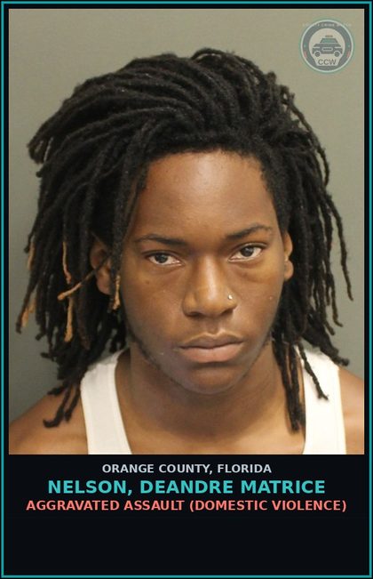CCW arrest card for NELSON, DEANDRE MATRICE in Orange County: BATTERY ON PERSON 65 YEARS OF AGE OR OLDER