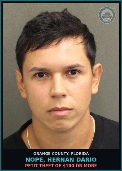 CCW arrest card for NOPE, HERNAN DARIO in Orange County: PETIT THEFT OF $100 OR MORE