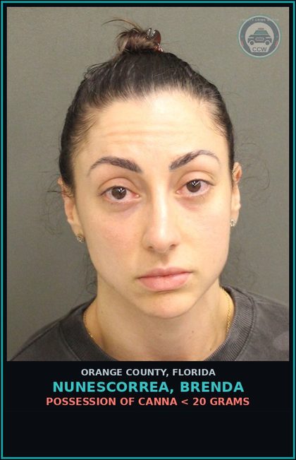 CCW arrest card for NUNESCORREA, BRENDA in Orange County: OUT-OF-COUNTY WARRANT-OUT-OF-COUNTY WARRANT
