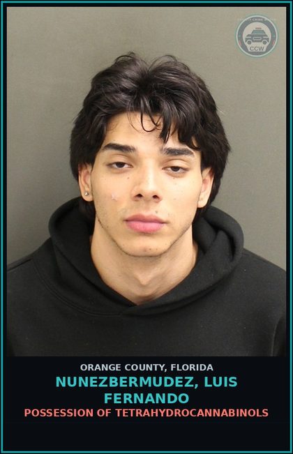 CCW arrest card for NUNEZBERMUDEZ, LUIS FERNANDO in Orange County: ATTACH TAG/LIC PLATE TO UNASSIGNED VEHICLE