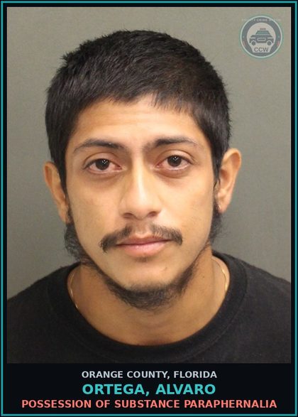 CCW arrest card for ORTEGA, ALVARO in Orange County: ATTEMPTED TAMPERING WITH PHYSICAL EVIDENCE