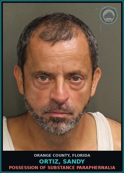 CCW arrest card for ORTIZ, SANDY in Orange County: DRUGS-POSSESS-POSSESS contr substance W/O PRESCRIPTION