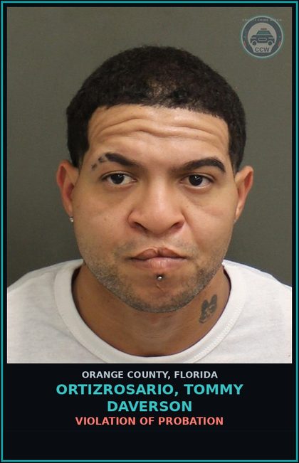 CCW arrest card for ORTIZROSARIO, TOMMY DAVERSON in Orange County: VIOLATION OF PROBATION
