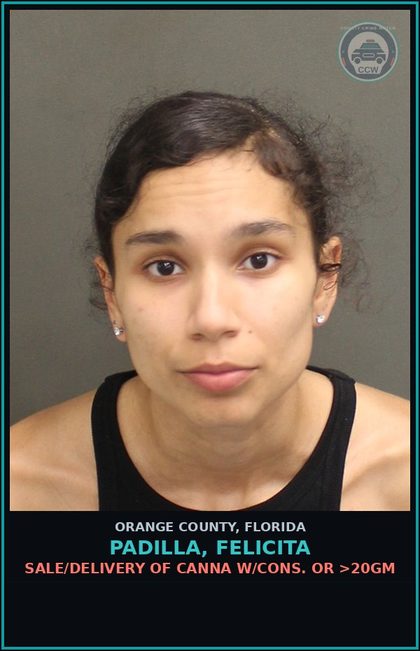 CCW arrest card for PADILLA, FELICITA in Orange County: SALE/DELIVERY OF Canna W/CONS. OR >20GM