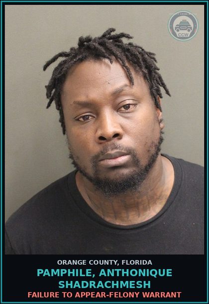 CCW arrest card for PAMPHILE, ANTHONIQUE SHADRACHMESH in Orange County: FAILURE TO APPEAR-FELONY WARRANT