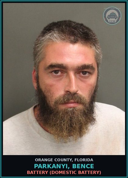 CCW arrest card for PARKANYI, BENCE in Orange County: BATTERY (DOMESTIC BATTERY)