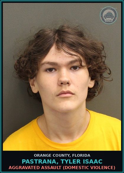 CCW arrest card for PASTRANA, TYLER ISAAC in Orange County: BATTERY (DOMESTIC VIOLENCE)