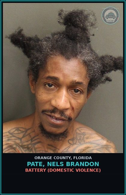 CCW arrest card for PATE, NELS BRANDON in Orange County: BATTERY (DOMESTIC VIOLENCE)
